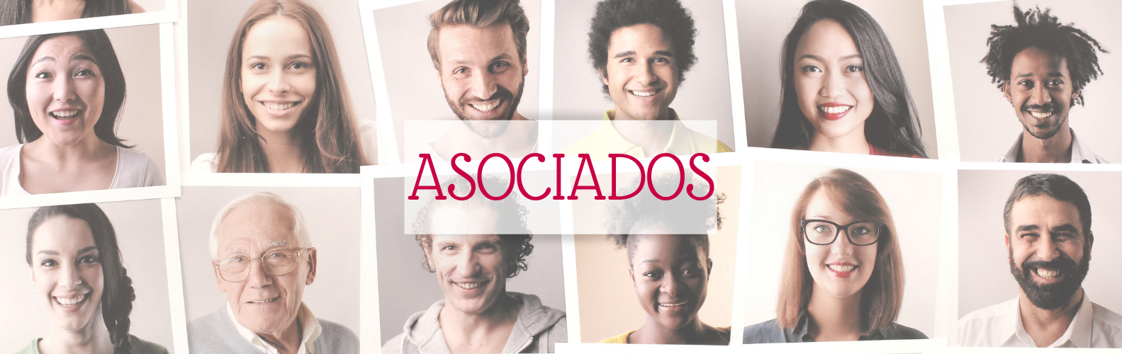 Asociados Asociados